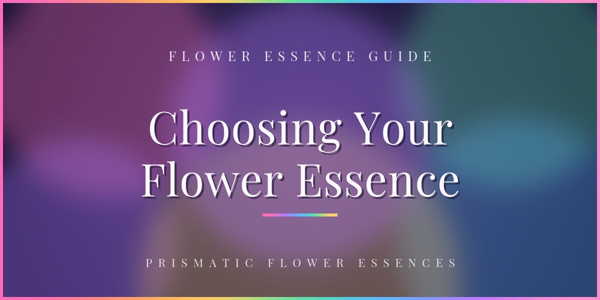 How to Choose the Right Flower Essence for How You Feel