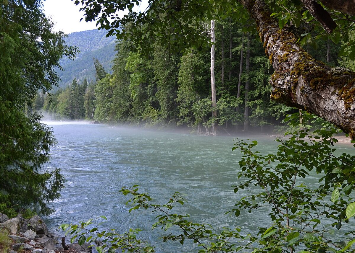 Morning mist rising over a quiet forest river