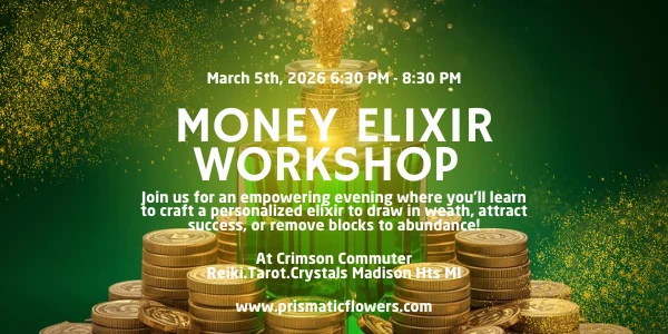 Money Elixir Workshop  