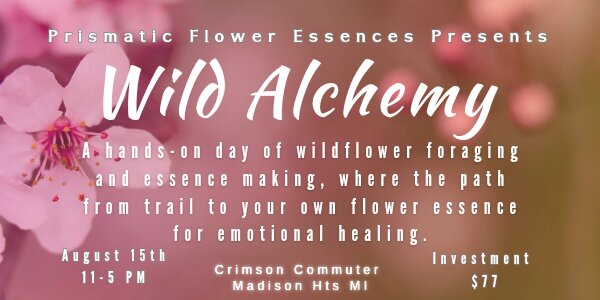 Wild Alchemy: Crafting Your Own Flower Essence