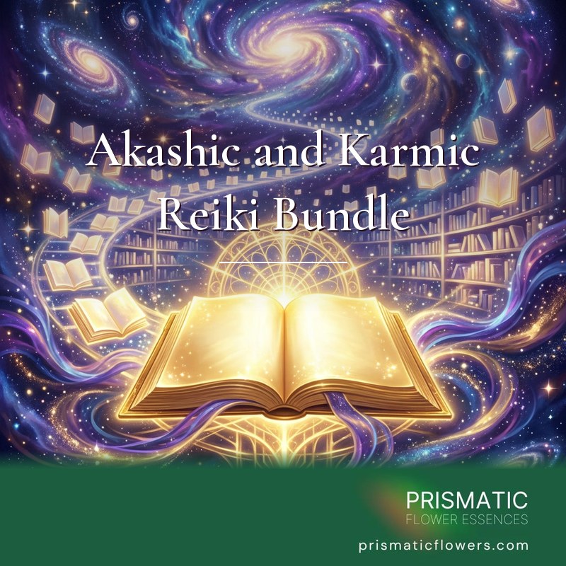 Akashic and Karmic Reiki Bundle (5 Attunements): a golden book lies open with blank shining pages before a golden wheel of light, as floating books spiral out of a galaxy above endless library shelves in a violet starry sky, by Prismatic Flower Essences