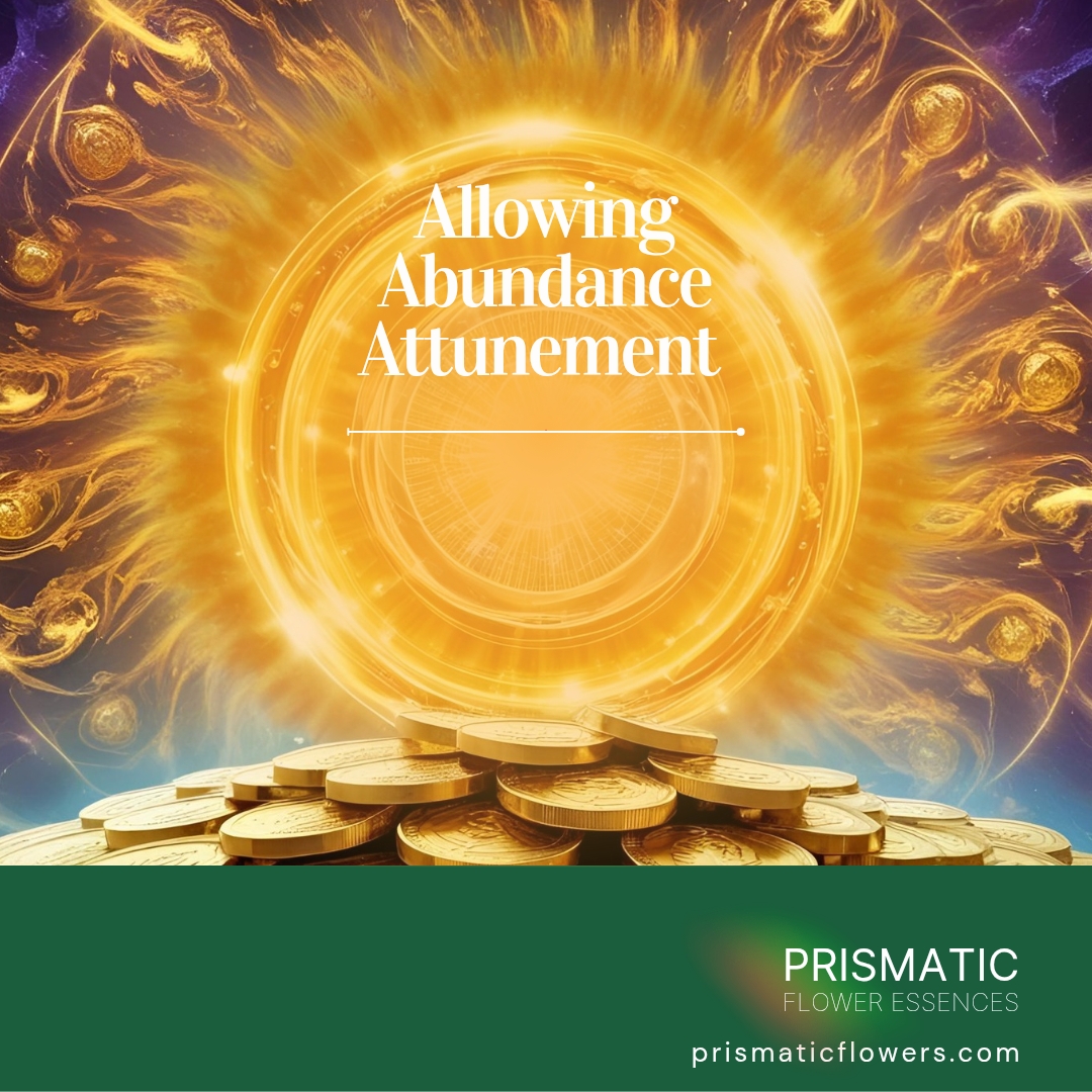 Allowing Abundance Attunement