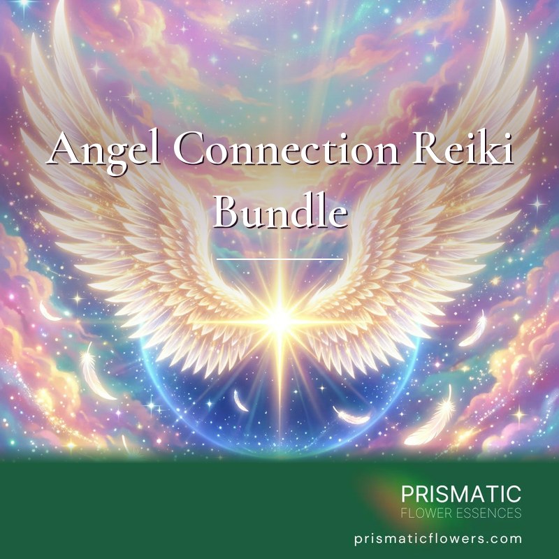 Angel Connection Reiki Bundle (5 Attunements): radiant white and gold angel wings spread wide around a bright star inside a soft blue sphere of light, with white feathers drifting through pink, lilac, aqua and gold clouds, by Prismatic Flower Essences