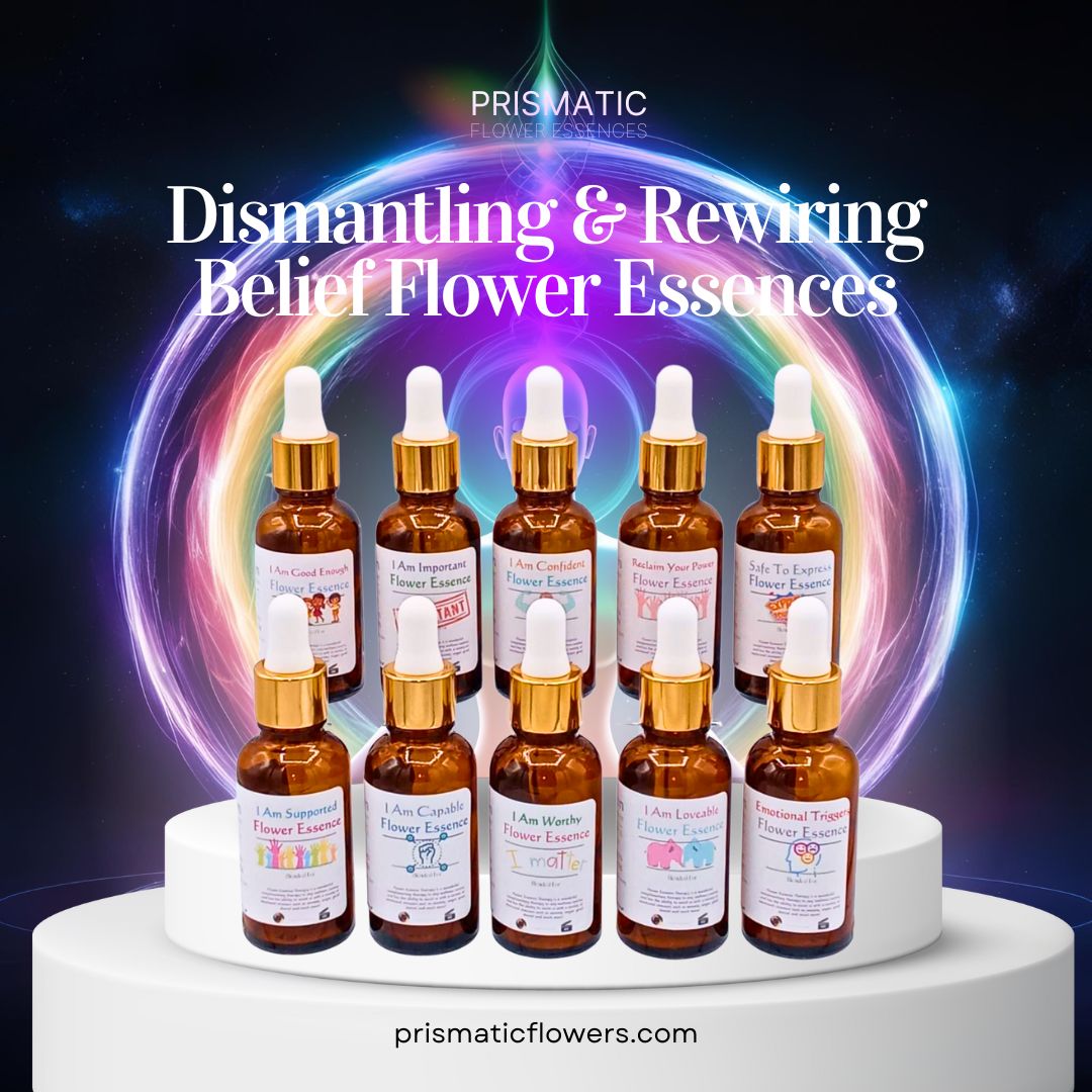 Ascension Healer Dismantling & Rewiring Beliefs Set