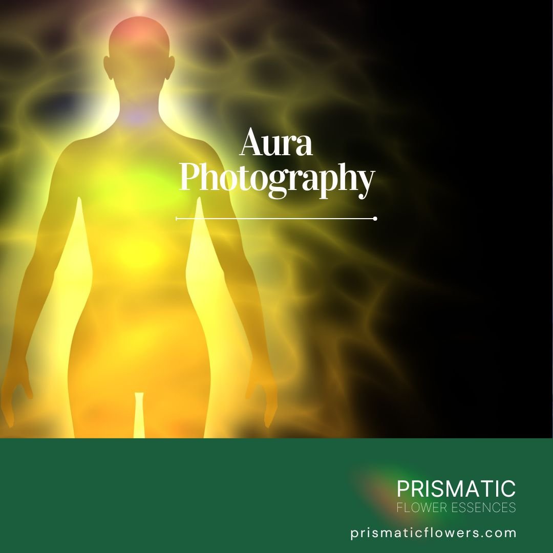 Aura Photography & Reading