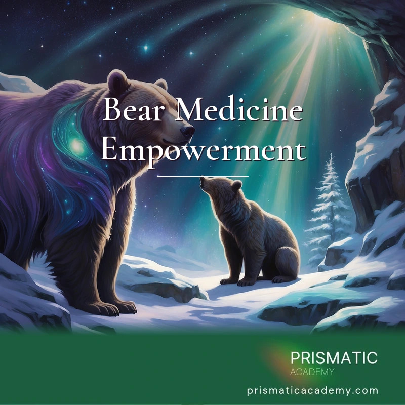 Bear Medicine Empowerment distance Reiki attunement, The Bear as spirit totem (introspective feminine animal medicine) by Prismatic Flower Essences