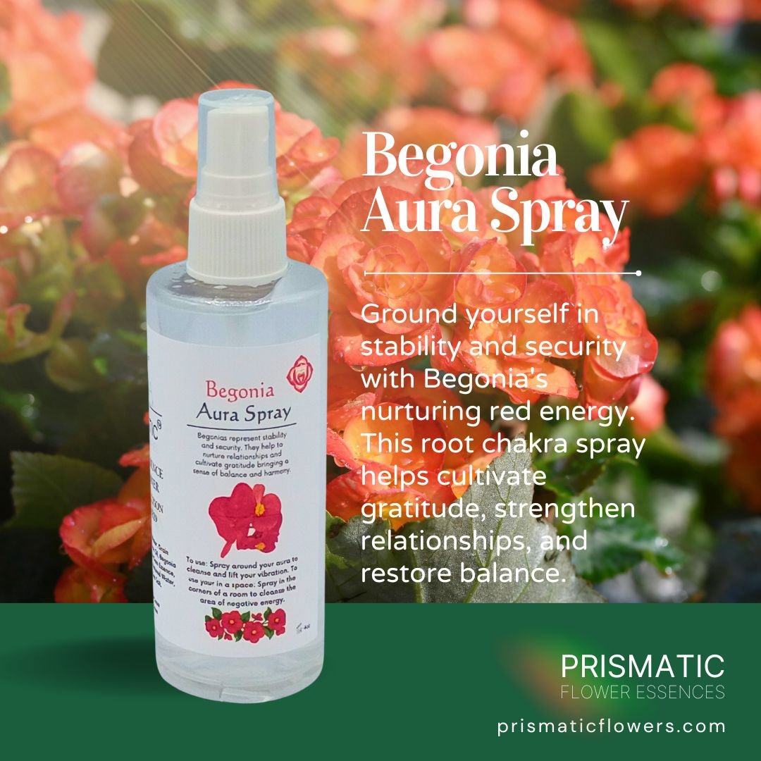 Begonia Aura Spray (4 oz.)