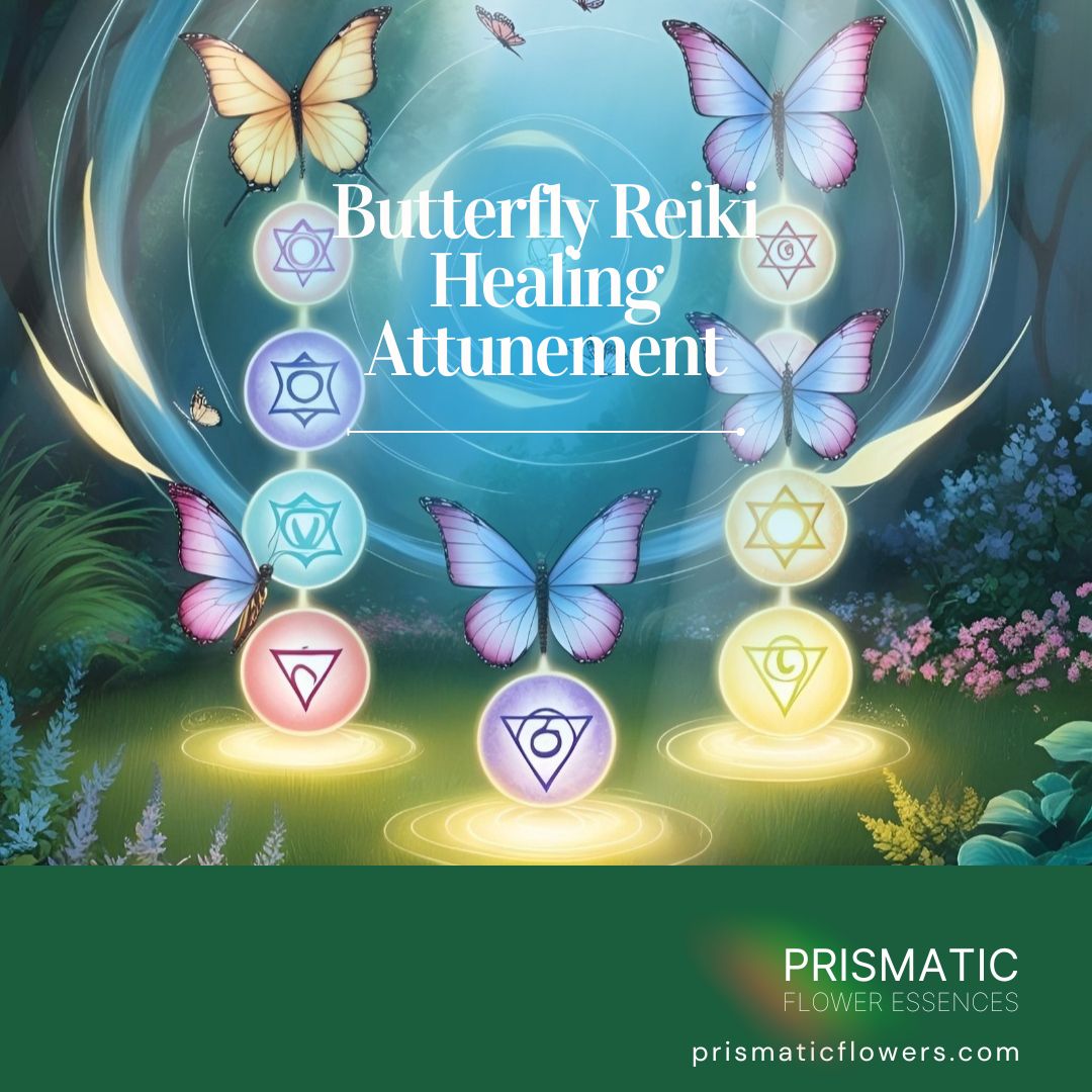 Butterfly Reiki Healing Attunement
