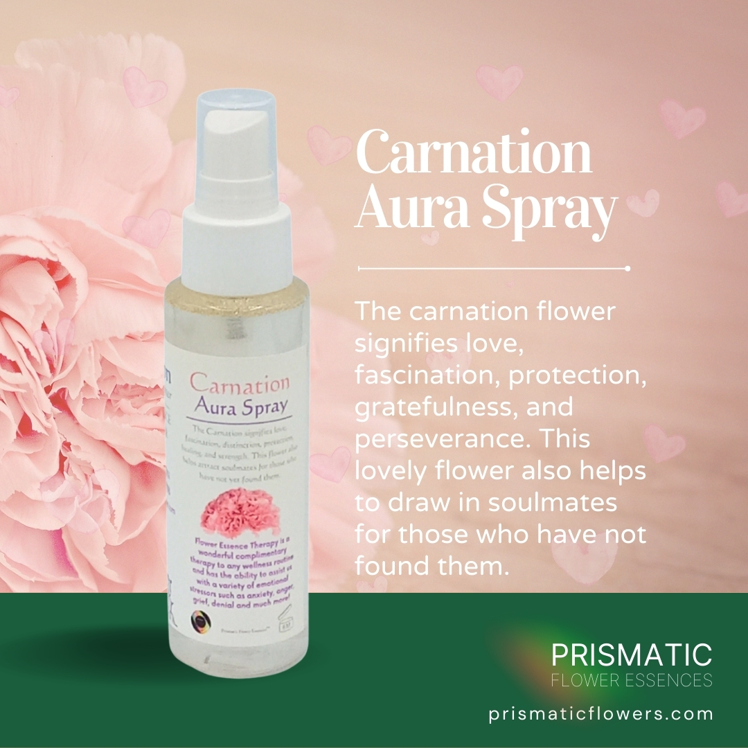 Carnation Aura Spray (4 oz.)