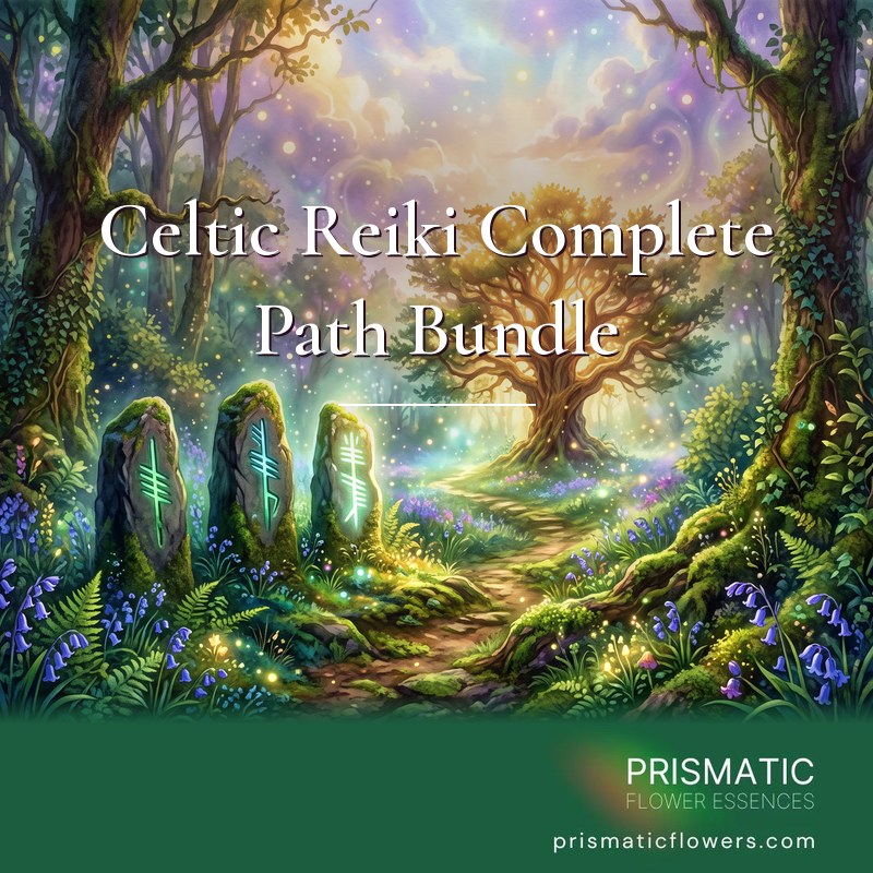 Celtic Reiki Complete Path Bundle (3 Levels): a woodland path passes three mossy standing stones carved with glowing green ogham marks and leads to a golden ancient tree, with bluebells, ferns and floating light, by Prismatic Flower Essences