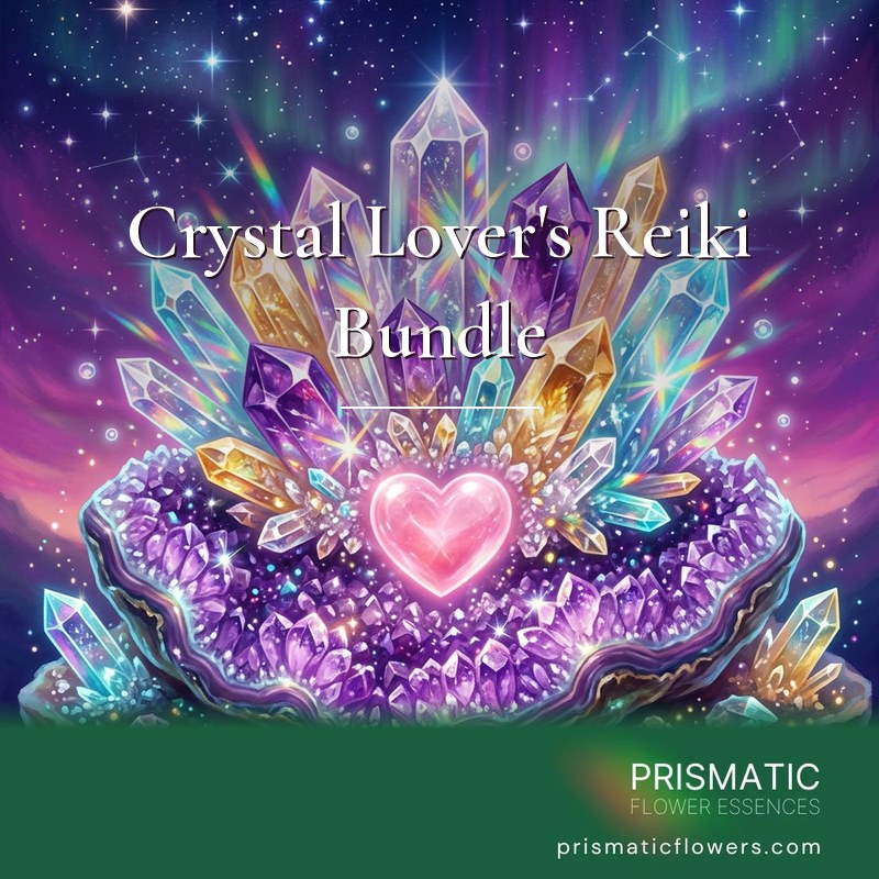 Crystal Lover's Reiki Bundle (4 Attunements): clear quartz, amethyst, citrine and aqua crystal points rise from a sparkling amethyst geode around a glowing pink rose quartz heart, under a starry violet sky with aurora, by Prismatic Flower Essences