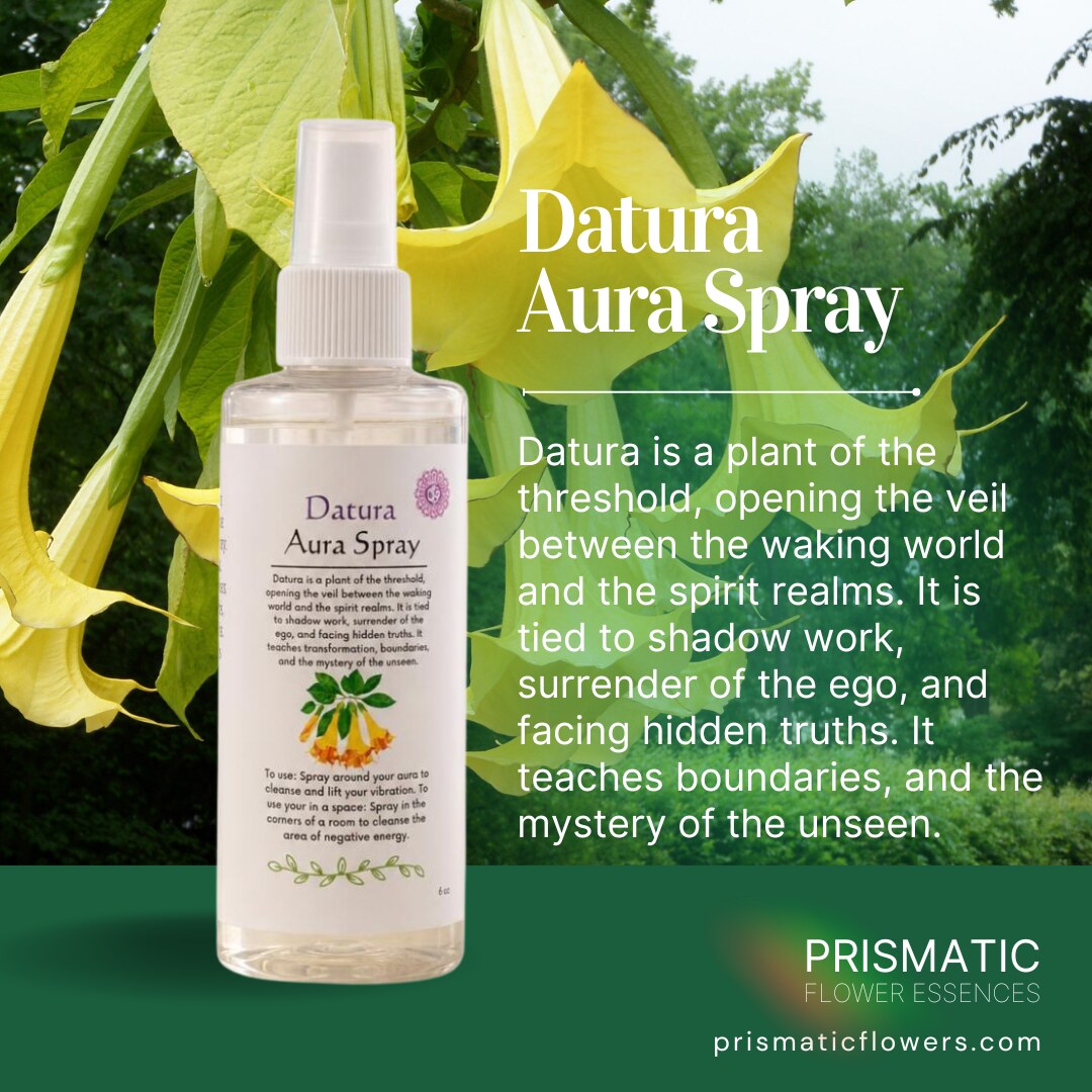 Datura Aura Spray 4 oz - crown chakra aura mist by Prismatic Flower Essences