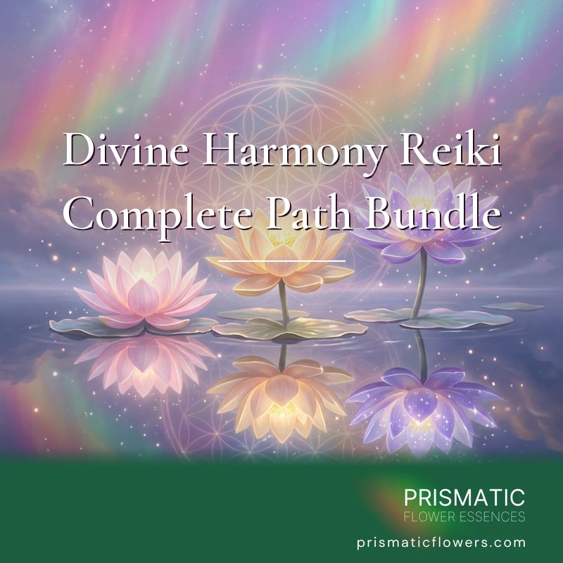 Divine Harmony Reiki Complete Path Bundle (3 Levels): three glowing lotus blossoms in pink, gold and violet float on a still mirror lake before a Flower of Life halo and a pastel rainbow aurora, by Prismatic Flower Essences