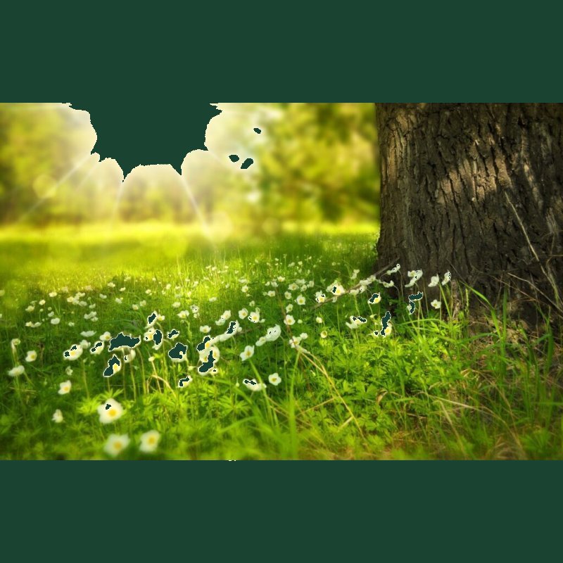 Divine Harmony Reiki - Level 2