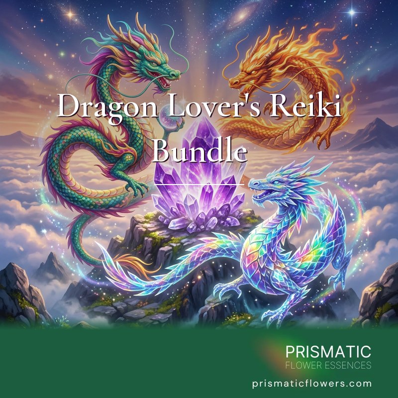Dragon Lover's Reiki Bundle (5 Attunements): a jade Chinese dragon holding a glowing pearl, a golden fire dragon and a clear crystal dragon with rainbow scales circle an amethyst crystal on a peak above the clouds, by Prismatic Flower Essences