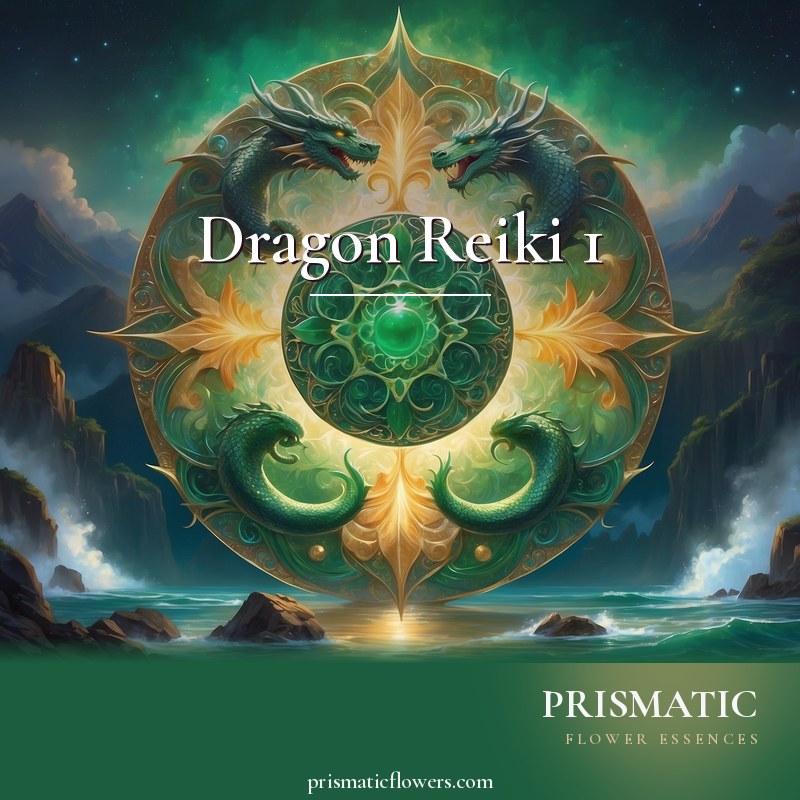 Dragon Reiki 1 distance Reiki attunement, Elemental dragons of earth, fire, air, and water by Prismatic Flower Essences