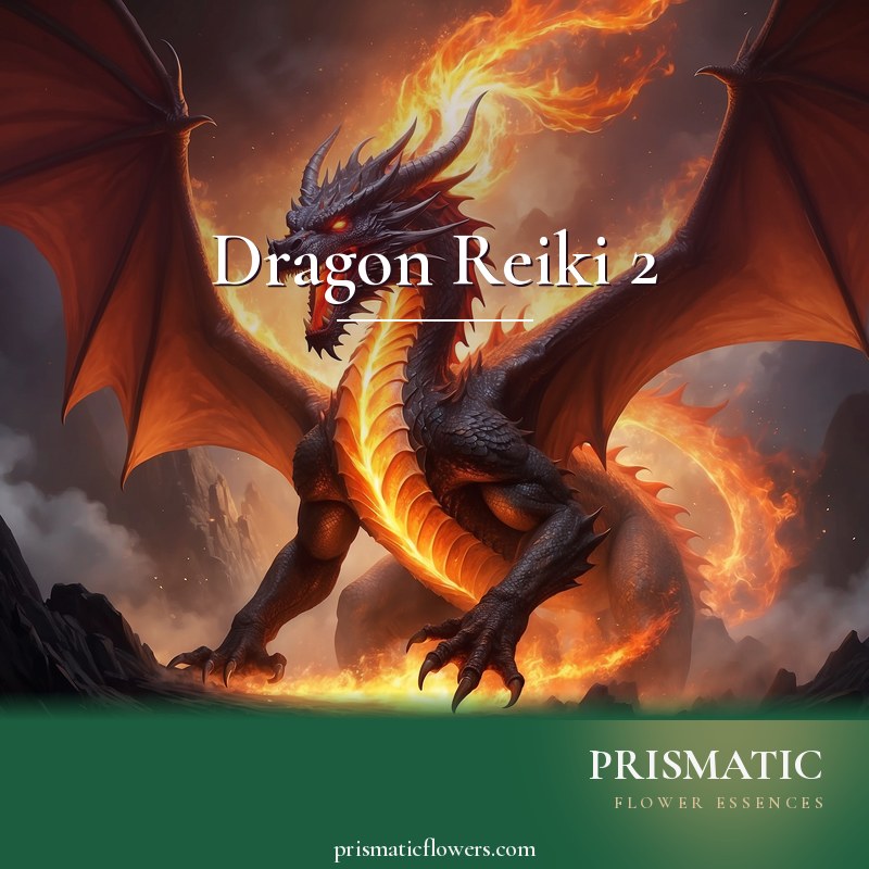 Dragon Reiki 2 distance Reiki attunement, The Fire Dragon and the individual elemental dragon powers by Prismatic Flower Essences