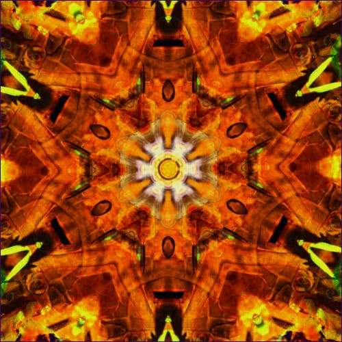 Energetic Clearing Empowerment