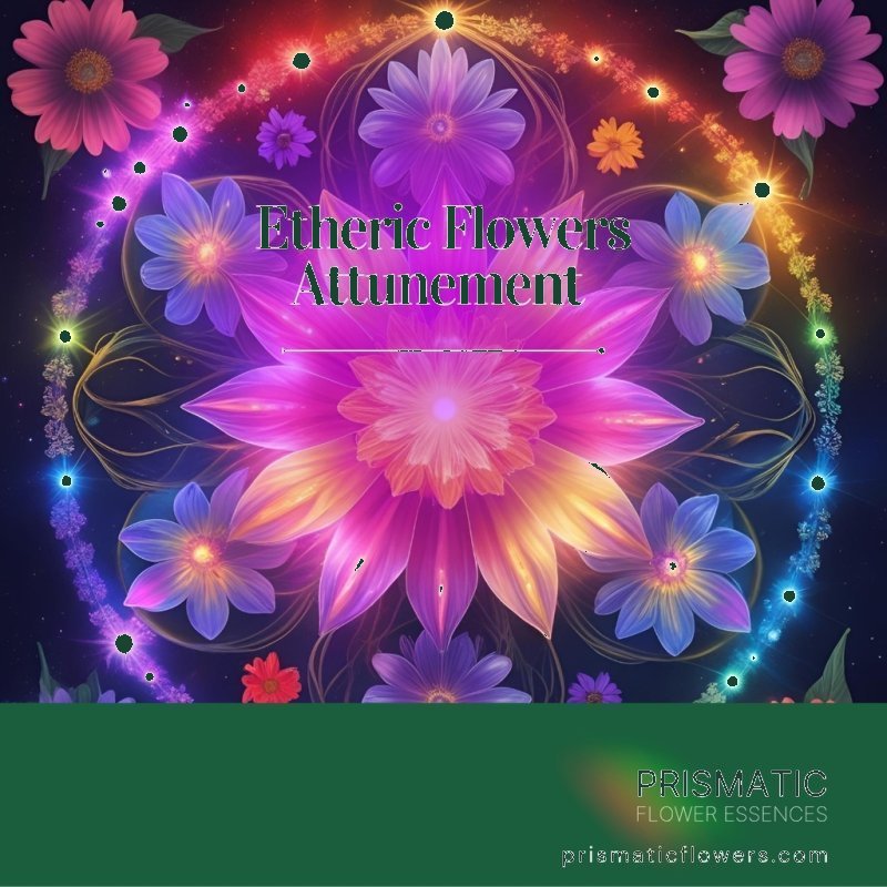 Fairies Of The Roses Empowerment Reiki