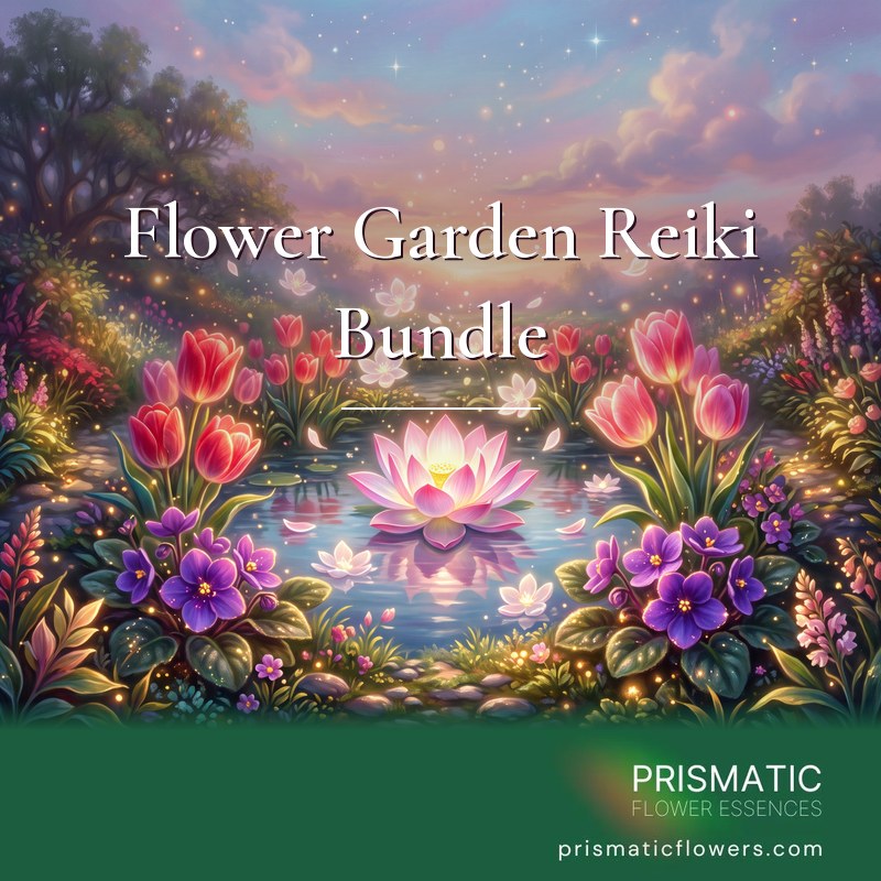 Flower Garden Reiki Bundle (4 Attunements): red and pink tulips and purple African violets glow on both sides of a small pond, where a radiant pink and white lotus floats among small white blossoms under a pastel evening sky, by Prismatic Flower Essences