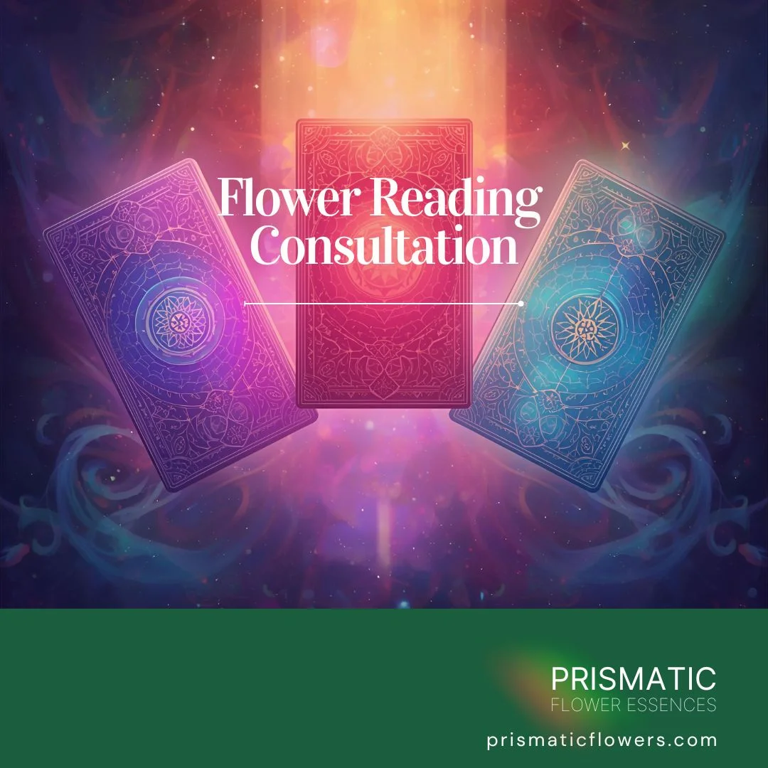 Flower Reading Consultation