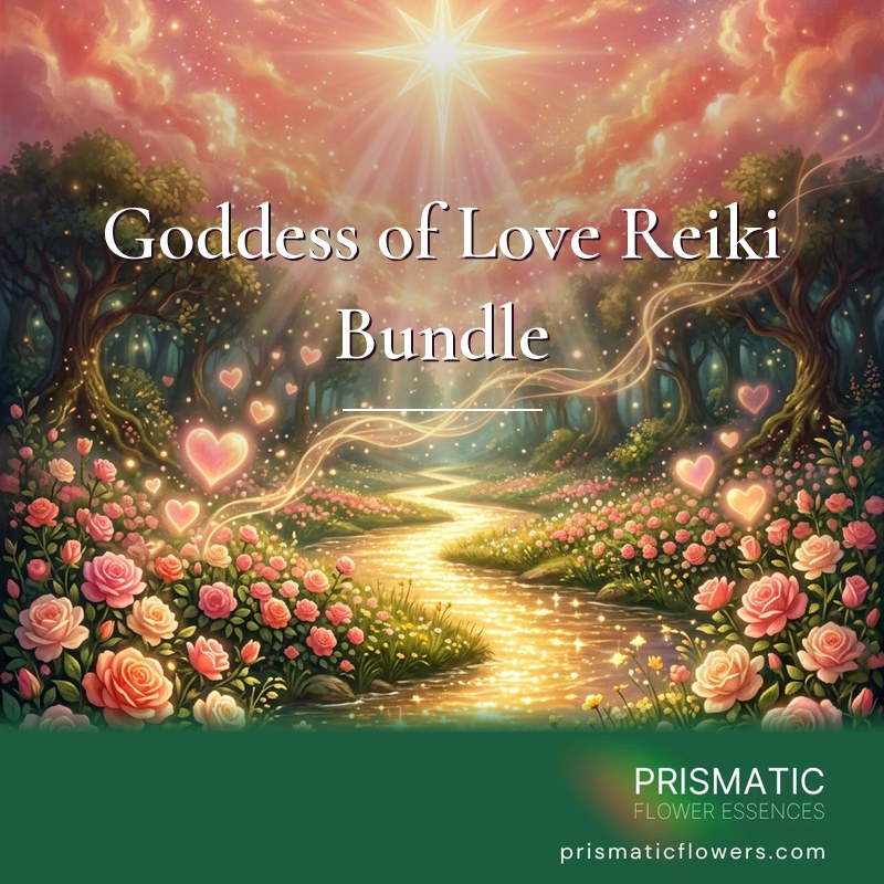 Goddess of Love Reiki Bundle (5 Attunements): a bright eight-pointed star shines in a rose and coral sky over a golden river winding through pink, coral and cream roses, with glowing pink hearts and golden ribbons of light, by Prismatic Flower Essences