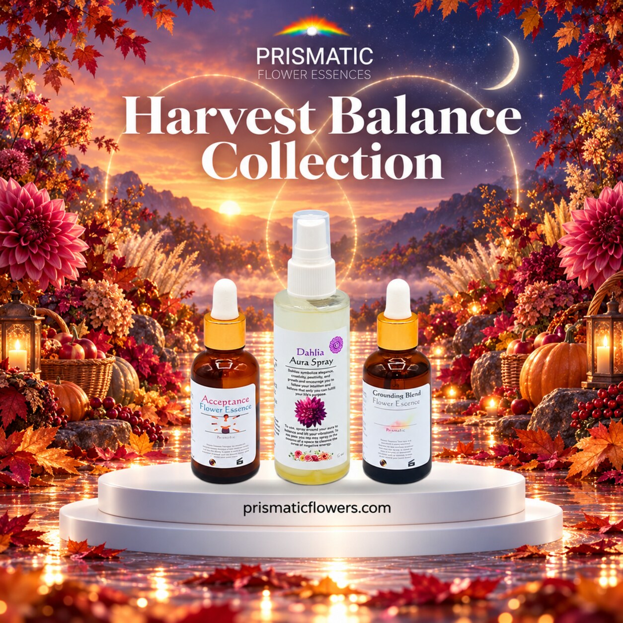 Harvest Balance Collection (3-Piece Set): Acceptance Flower Essence, Dahlia Aura Spray and Grounding Blend Flower Essence bottles on a white podium among pink dahlias, pumpkins and fall leaves at sunset under a crescent moon, by Prismatic Flower Essences