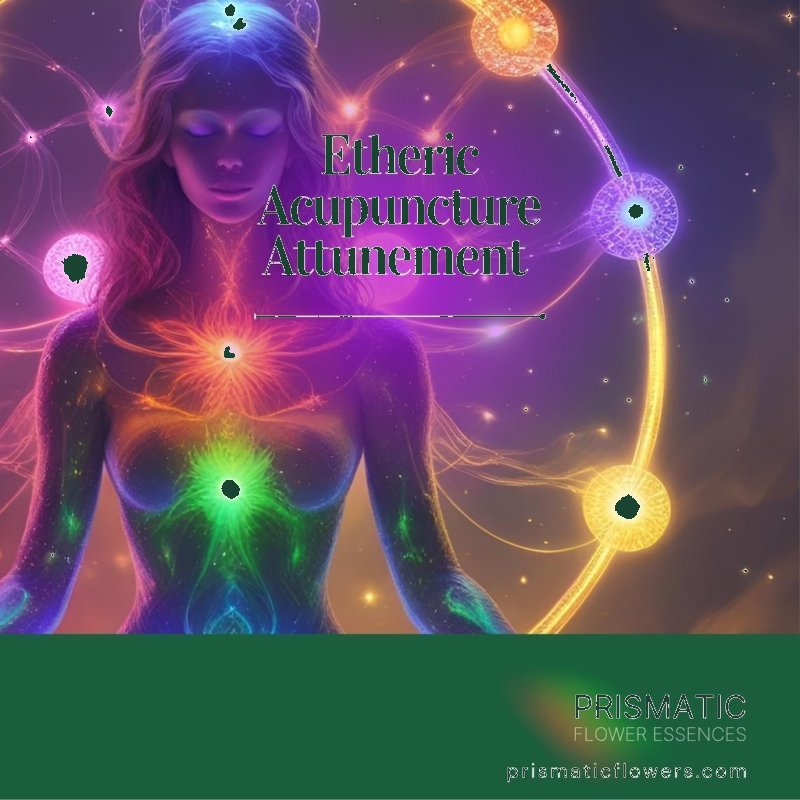 Heart Chakra Repair – Chakra Repair Reiki Empowerment