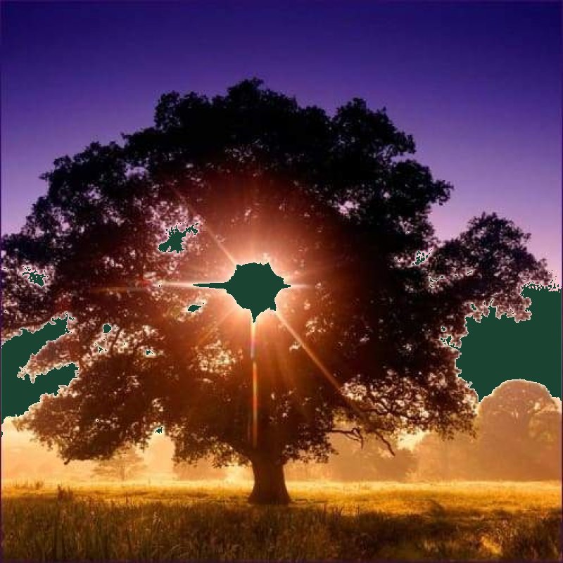 How to Remove Negative Energy – The Power of the Negativity Flush