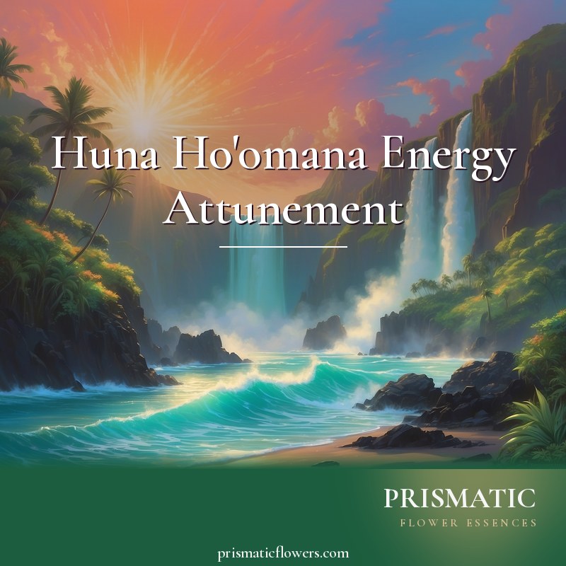 Huna Ho'omana Energy Attunement distance Reiki attunement, Huna Ho'omana Hawaiian sacred mana energy and the three orders of Lono, Ku, and Kane by Prismatic Flower Essences