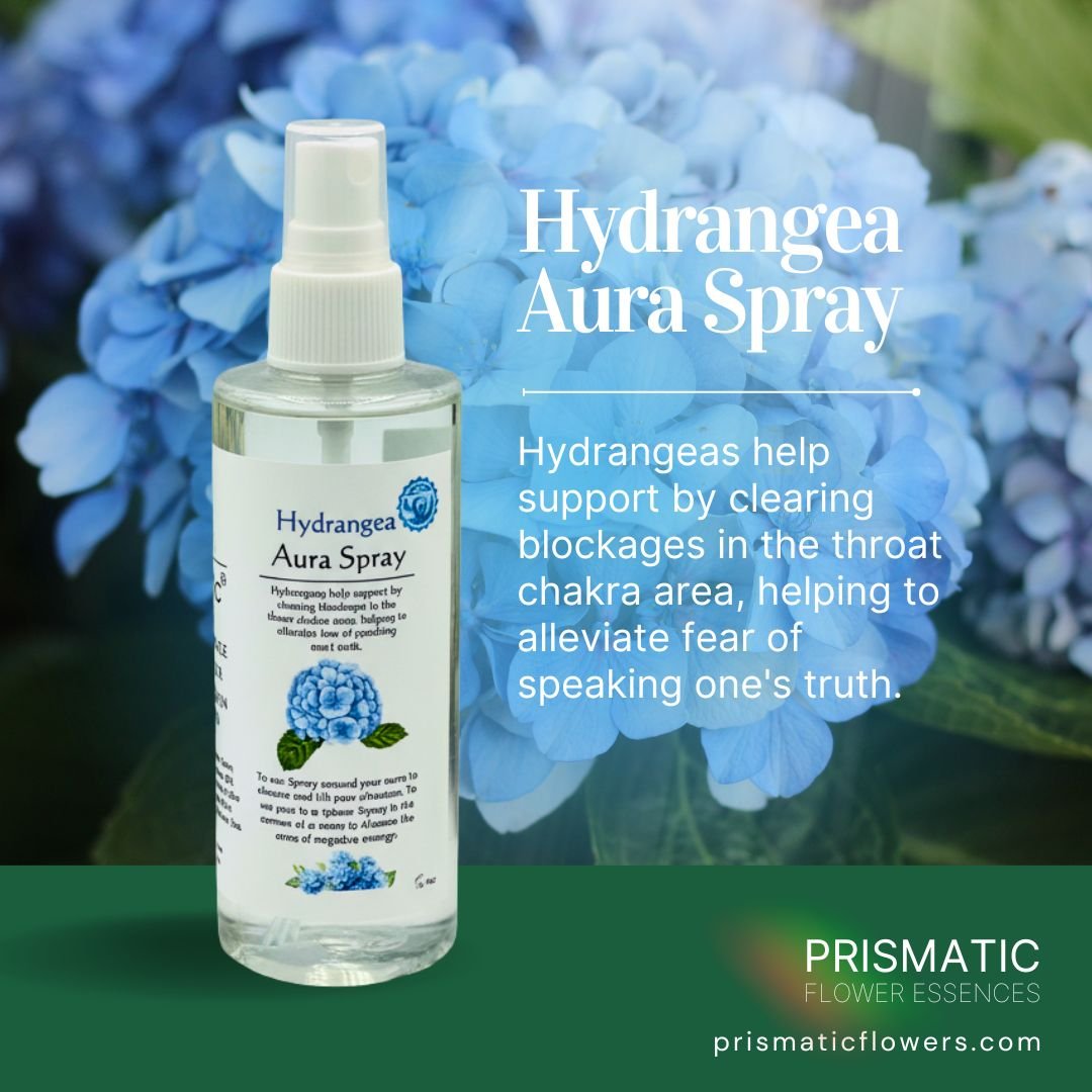 Hydrangea Aura Spray (4 oz.)