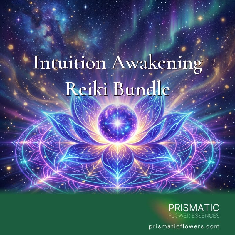 Intuition Awakening Reiki Bundle (5 Attunements): a glowing indigo and violet lotus holds a starry violet orb at its center, set on a turquoise and magenta sacred geometry mandala under a starry sky with green aurora, by Prismatic Flower Essences