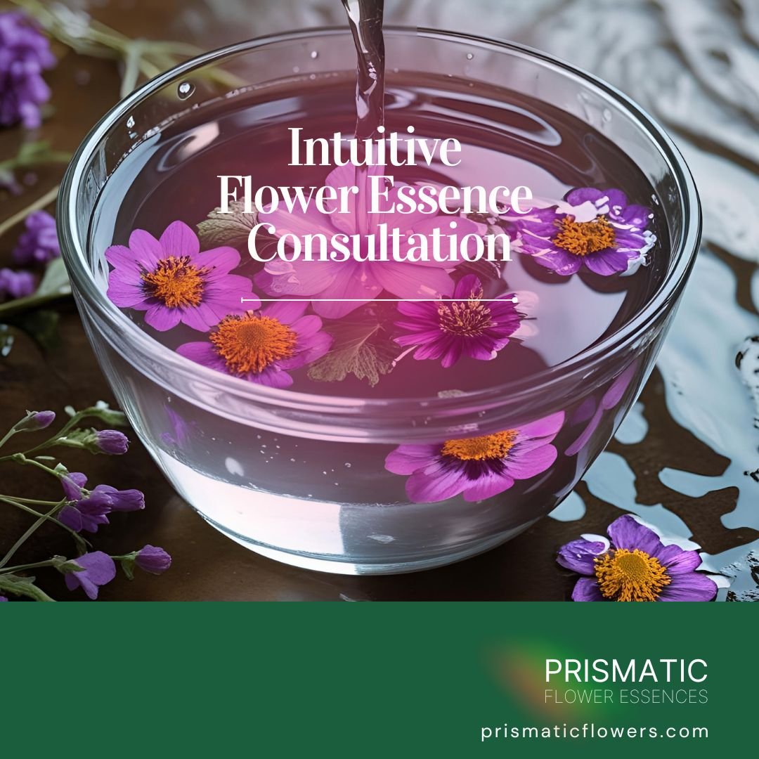 Intuitive Flower Essence Consultation