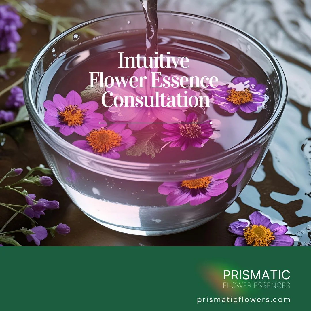Intuitive Flower Essence Consultation