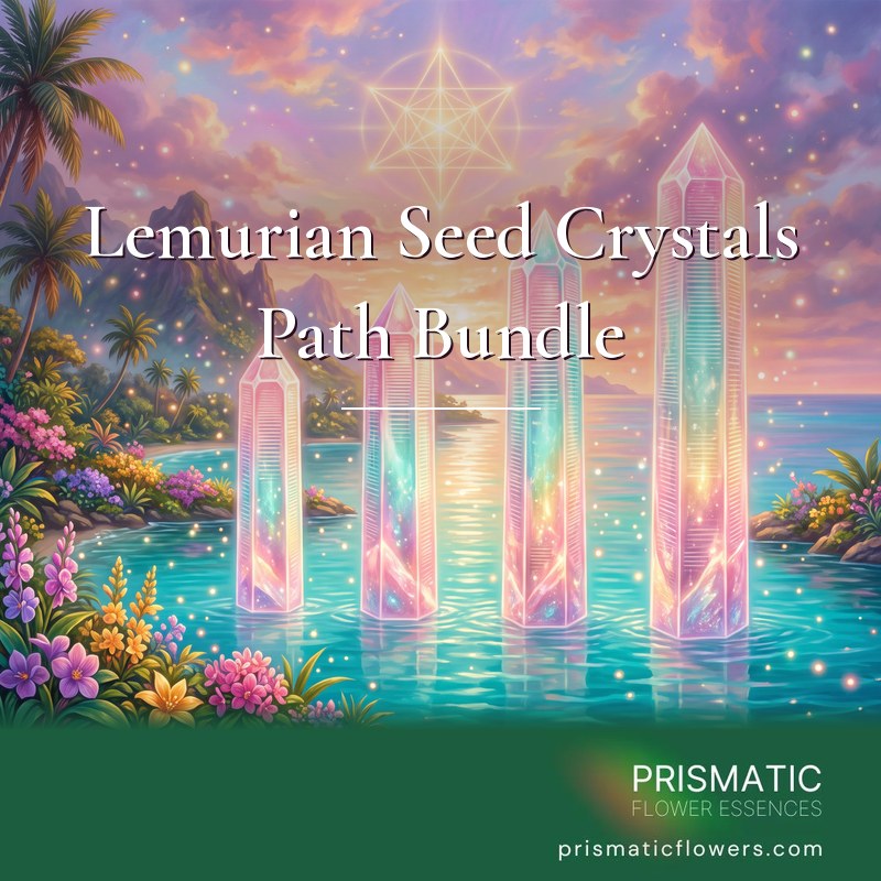 Lemurian Seed Crystals Path Bundle (4 Levels): four glowing pastel Lemurian seed quartz crystals of rising height stand in a turquoise lagoon at sunrise beneath a golden Merkabah star, framed by palms and tropical flowers, by Prismatic Flower Essences