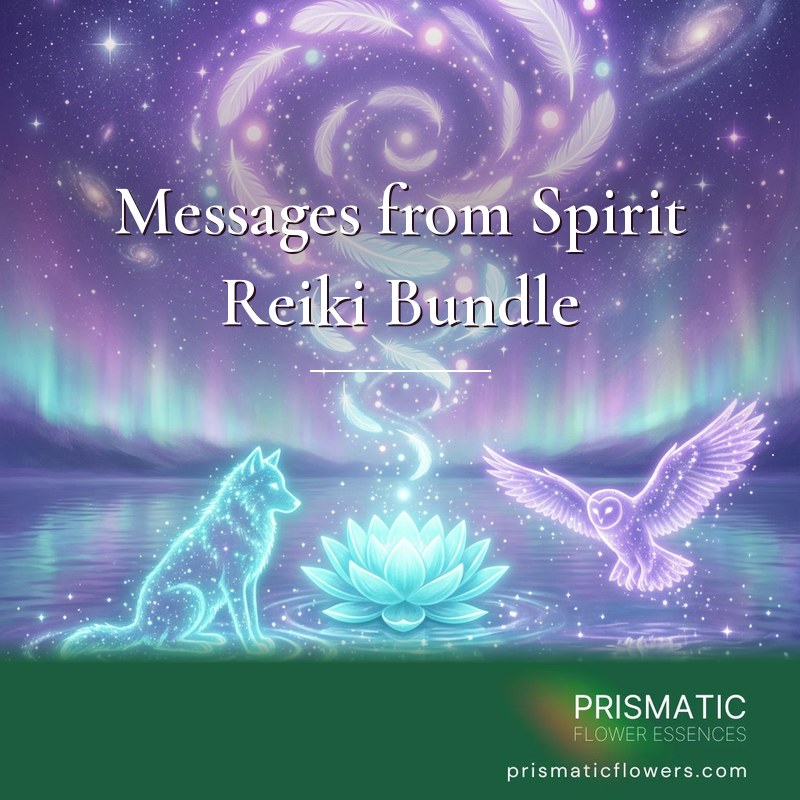 Messages from Spirit Reiki Bundle (5 Attunements): white feathers and orbs of light spiral down from a starlit violet sky toward an aqua lotus on still water, between a wolf of aqua starlight and a flying lavender owl, by Prismatic Flower Essences