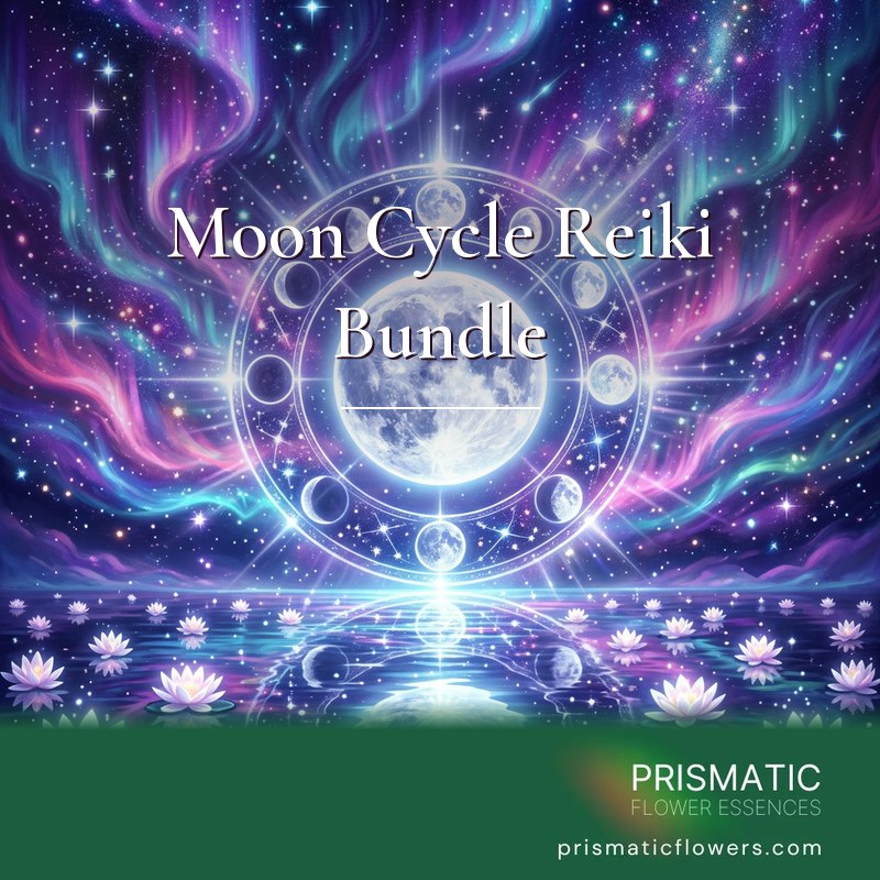 Moon Cycle Reiki Bundle (5 Attunements): a bright silver full moon sits inside a glowing ring of moon phases, with violet, teal and pink aurora and stars above and white lotus flowers on calm reflecting water below, by Prismatic Flower Essences