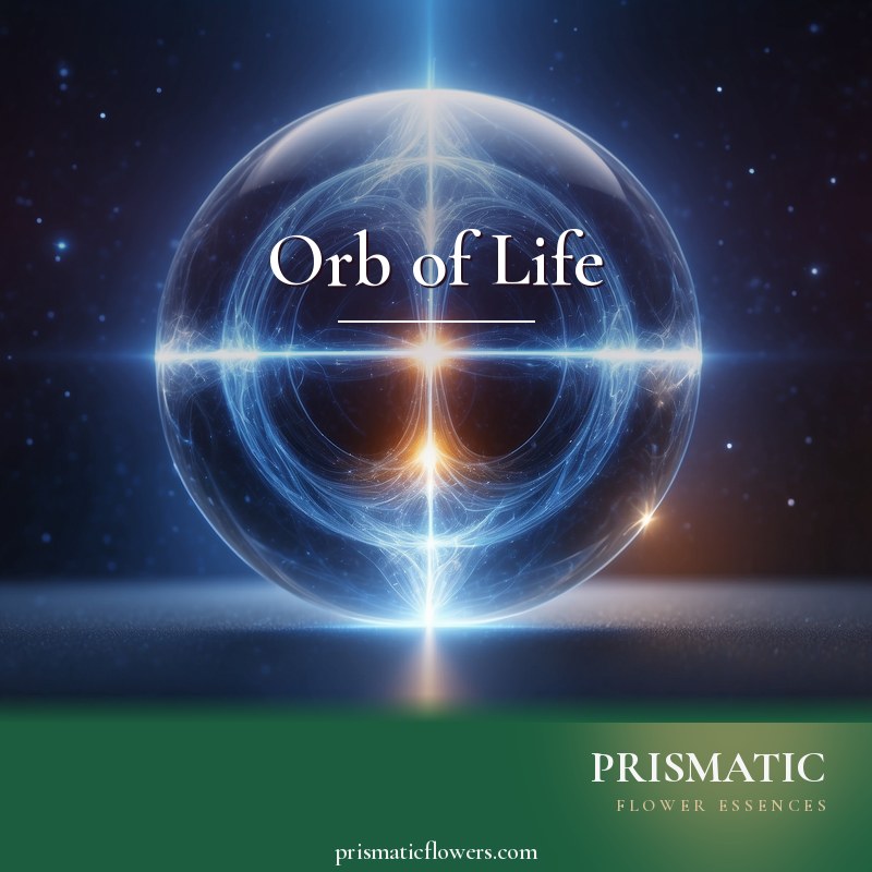 Orb of Life distance Reiki attunement, The Orb of Life, an etheric sphere of concentrated high-frequency life-force energy that hovers above the crown by Prismatic Flower Essences