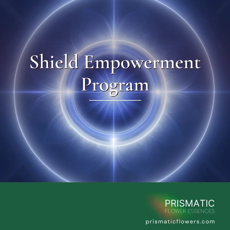 Shield Power Example Shield Empowerment Program – Triple Shield Energy Prote...