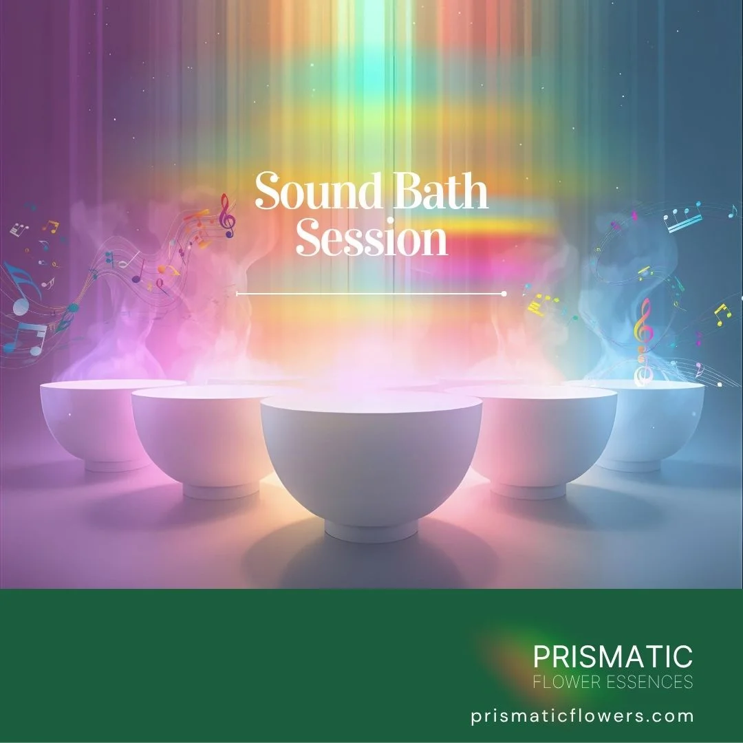 Sound Bath Session
