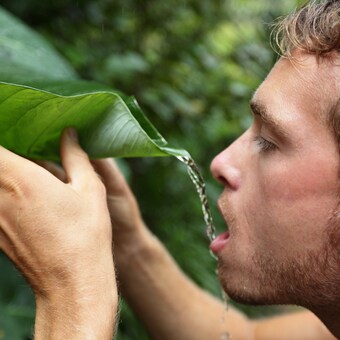 Survival Mode Healing Meditation | Instant Stress Relief for Anxiety & Overwhelm