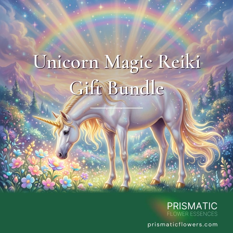 Unicorn Magic Reiki Gift Bundle (3 Attunements): a white unicorn with a golden spiral horn, golden mane and golden hooves lowers its head toward glowing pastel flowers under golden light rays, a pastel rainbow and stars, by Prismatic Flower Essences