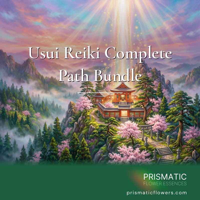 Usui Reiki Complete Path Bundle (3 Levels): a column of white and gold light falls on a vermilion Japanese temple on Mount Kurama, among cedars, pink cherry blossoms and mist under a rose and lavender sky, by Prismatic Flower Essences