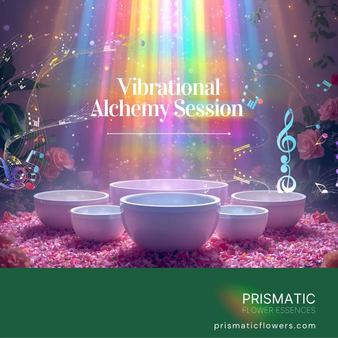 Vibrational Alchemy Session