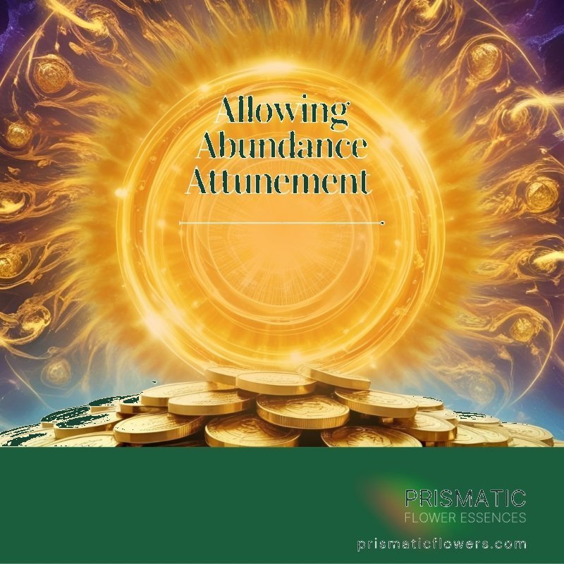 What is Money Reiki? Angelic Energy for Financial Healing & Abundance