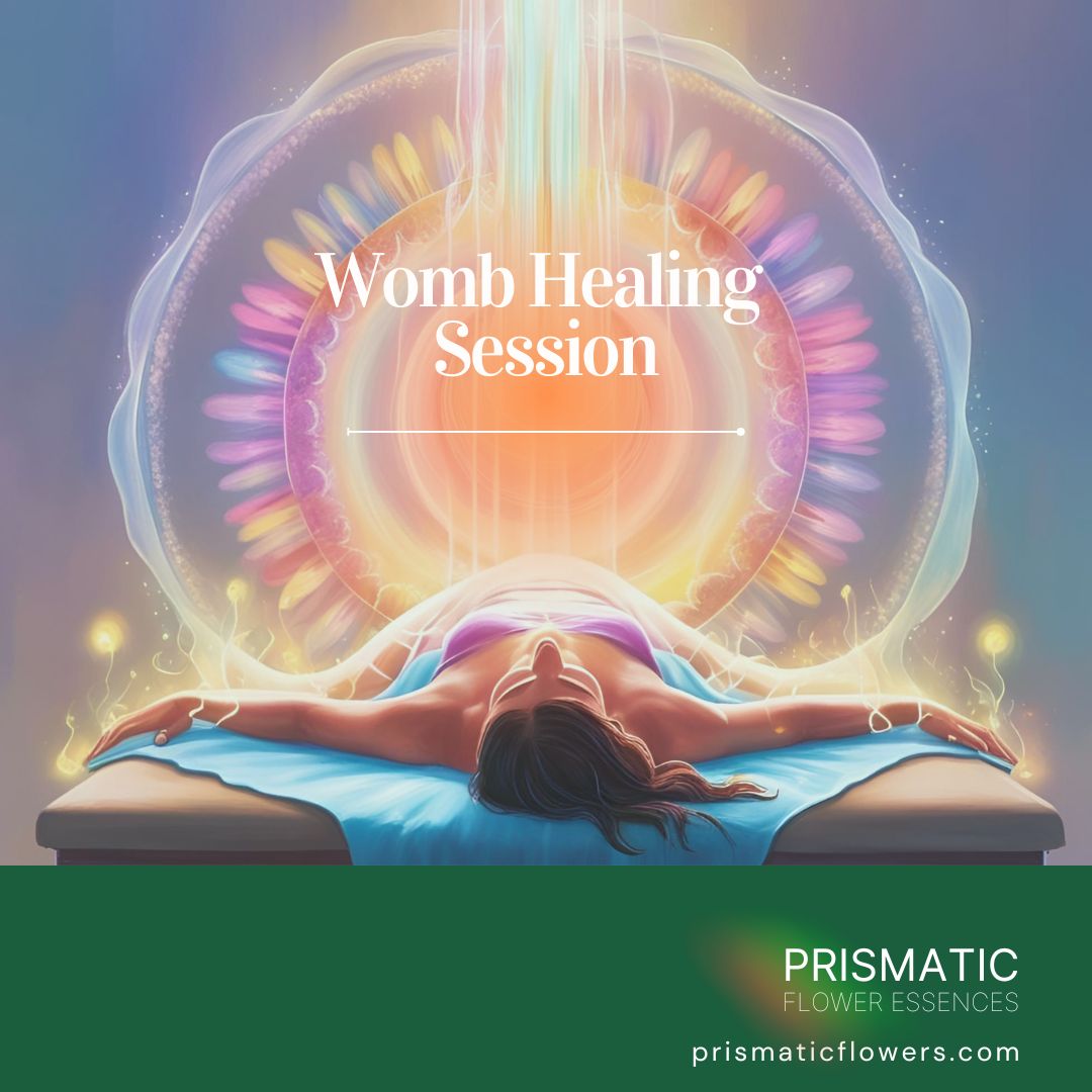 Womb Healing Session