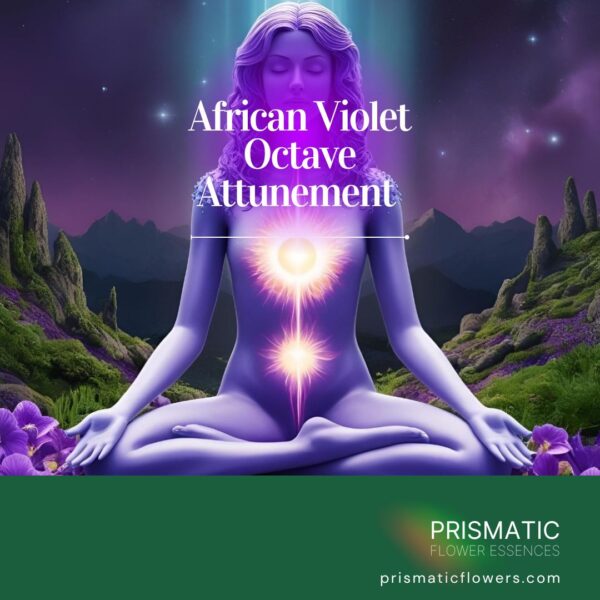 African Violet Octave™ Energy Healing manual featuring violet frequency symbols and harmonizing techniques for spiritual alignment.