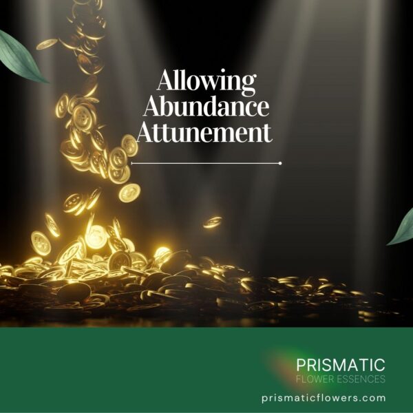 Allowing Abundance Attunement