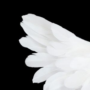 Angel of Water Cleansing – Spiritual Renewal & Divine Purification