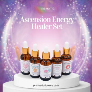 Ascension Energy Healer Set